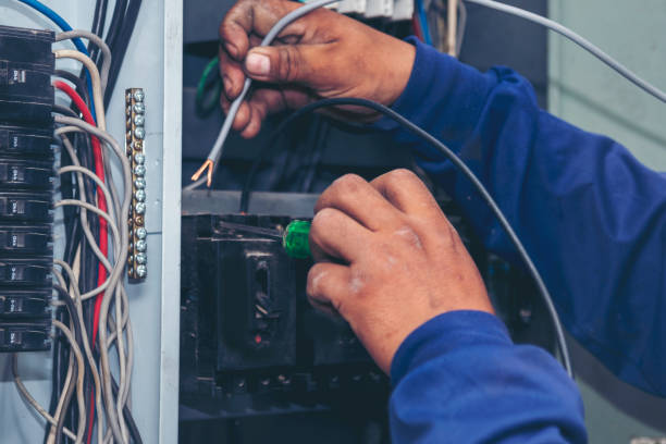 Best Electrical Upgrades for Homes  in Payson, IL